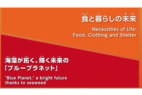 プロジェクト/アクティビティ/ニーズ/シーズ/特集/貧困をなくそうの